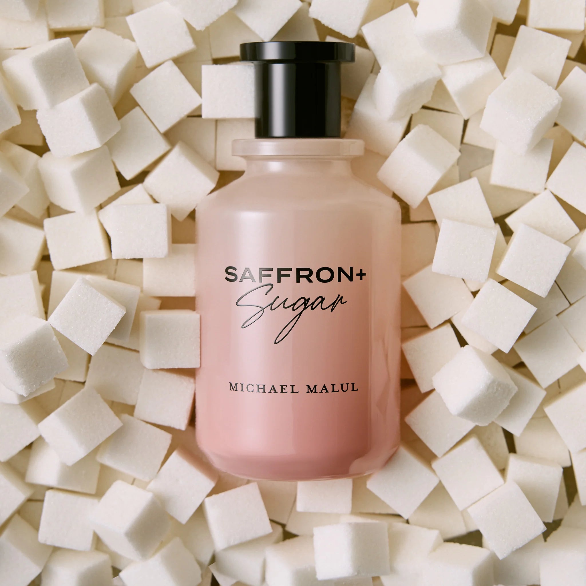 Michael Malul Saffron+Sugar Eau de Parfum for Women 3.4 Ounce