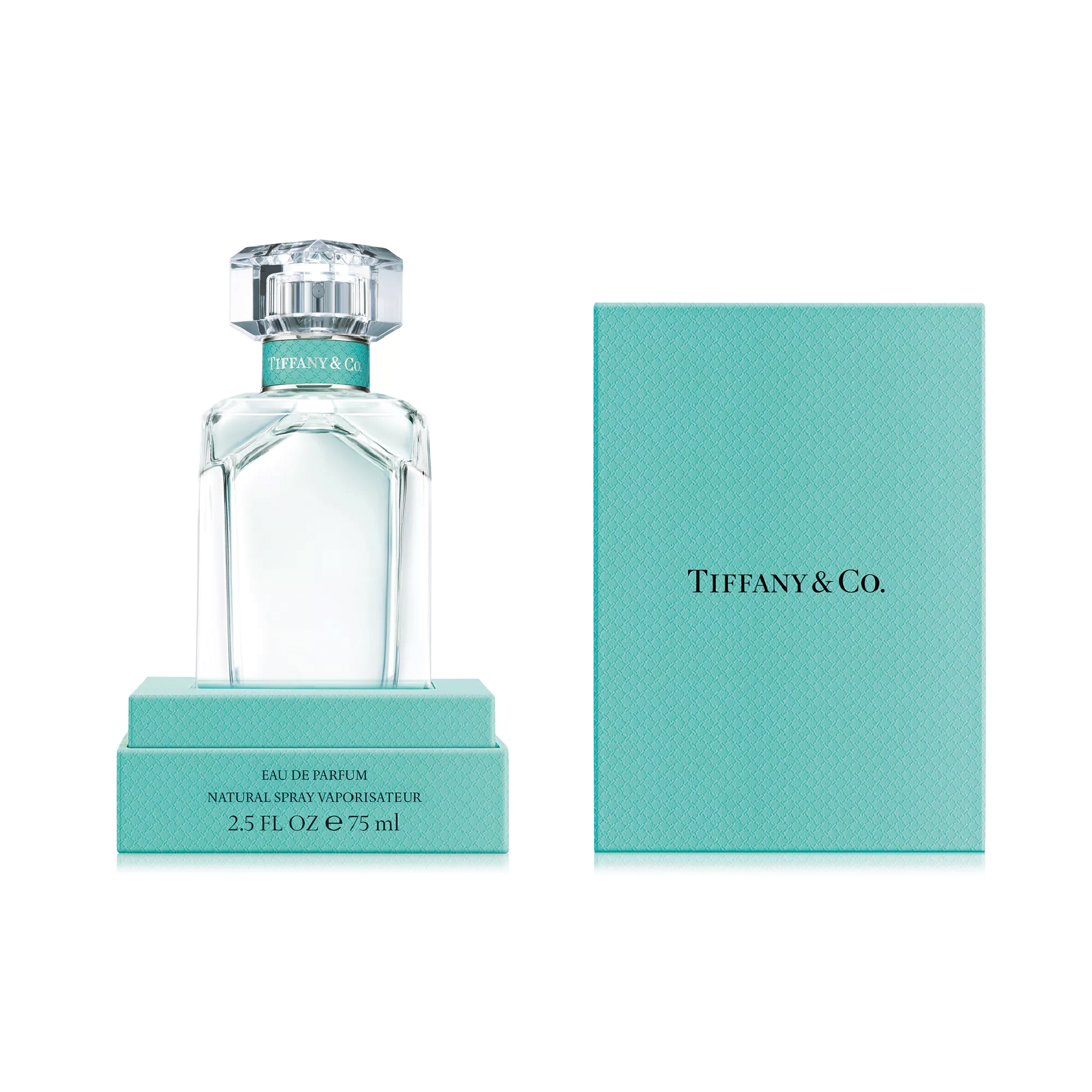 TIFFANY & CO EDP